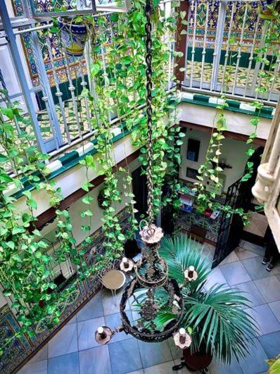 Hostal Lis Sevilla Bagian luar foto